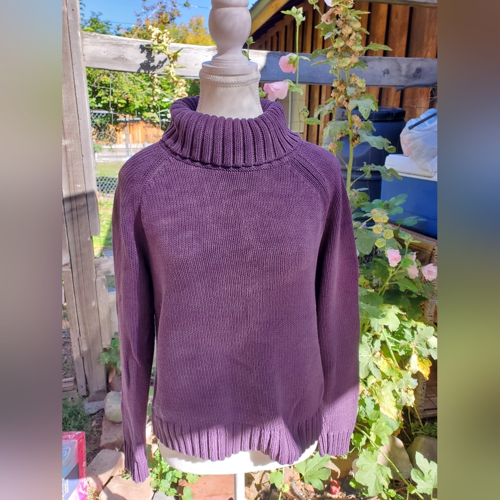 Eddie Bauer Women's Plum Cowl Neck Sweater